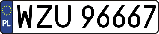 WZU96667