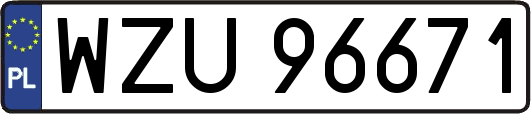 WZU96671