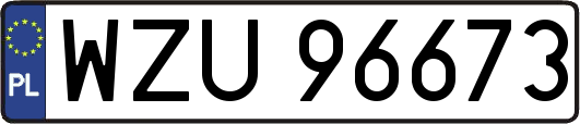 WZU96673