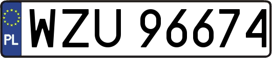 WZU96674