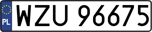 WZU96675