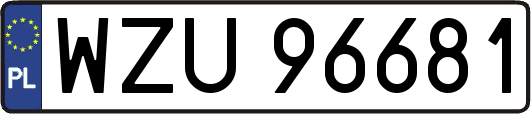 WZU96681