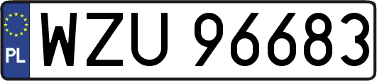 WZU96683