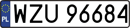 WZU96684