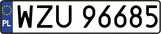 WZU96685