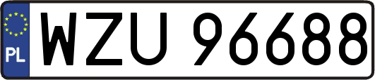 WZU96688