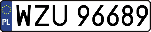 WZU96689