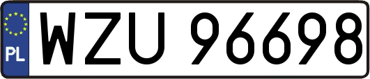 WZU96698