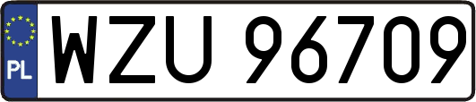 WZU96709