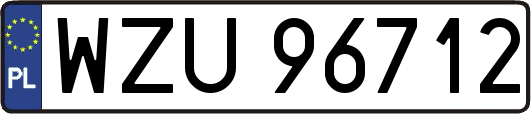 WZU96712