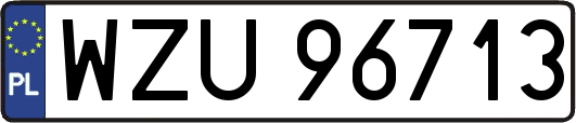 WZU96713