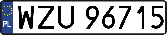 WZU96715
