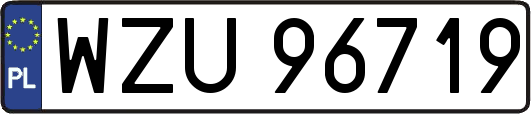 WZU96719