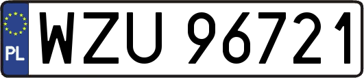 WZU96721