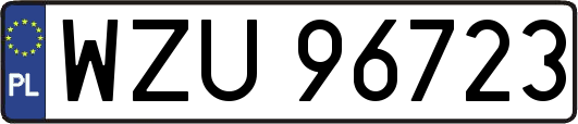 WZU96723