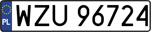WZU96724