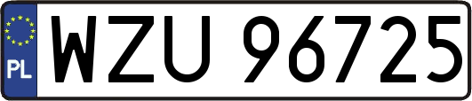 WZU96725