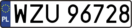 WZU96728