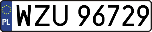 WZU96729