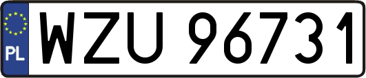 WZU96731