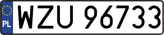 WZU96733