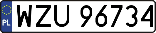 WZU96734