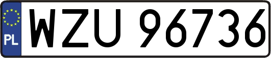 WZU96736