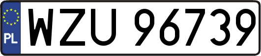 WZU96739