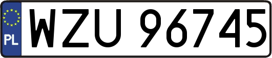 WZU96745