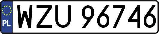 WZU96746