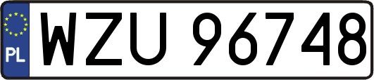 WZU96748