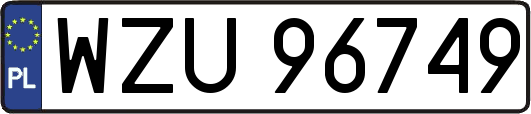 WZU96749