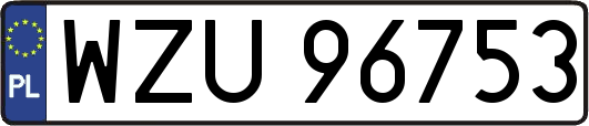 WZU96753