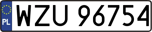 WZU96754