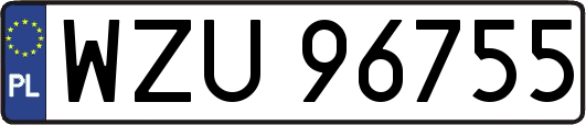 WZU96755