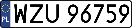 WZU96759