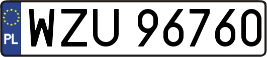 WZU96760