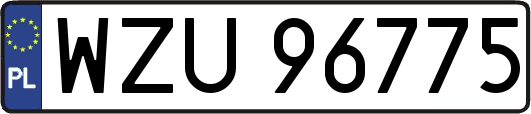 WZU96775