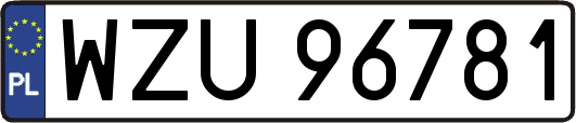 WZU96781