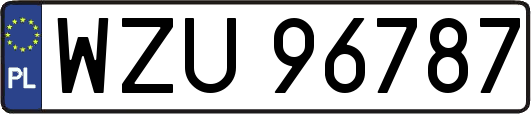 WZU96787