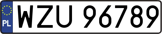 WZU96789