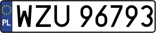WZU96793