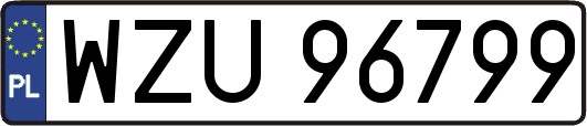 WZU96799