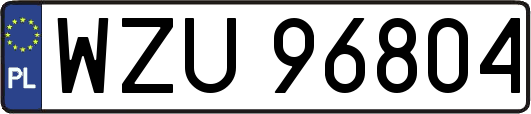 WZU96804