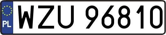 WZU96810