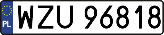 WZU96818