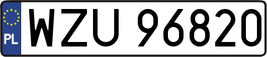 WZU96820