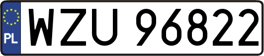 WZU96822