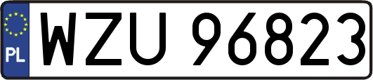 WZU96823