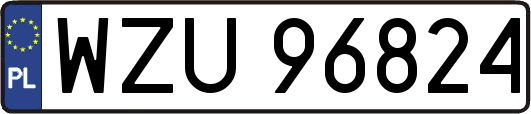 WZU96824
